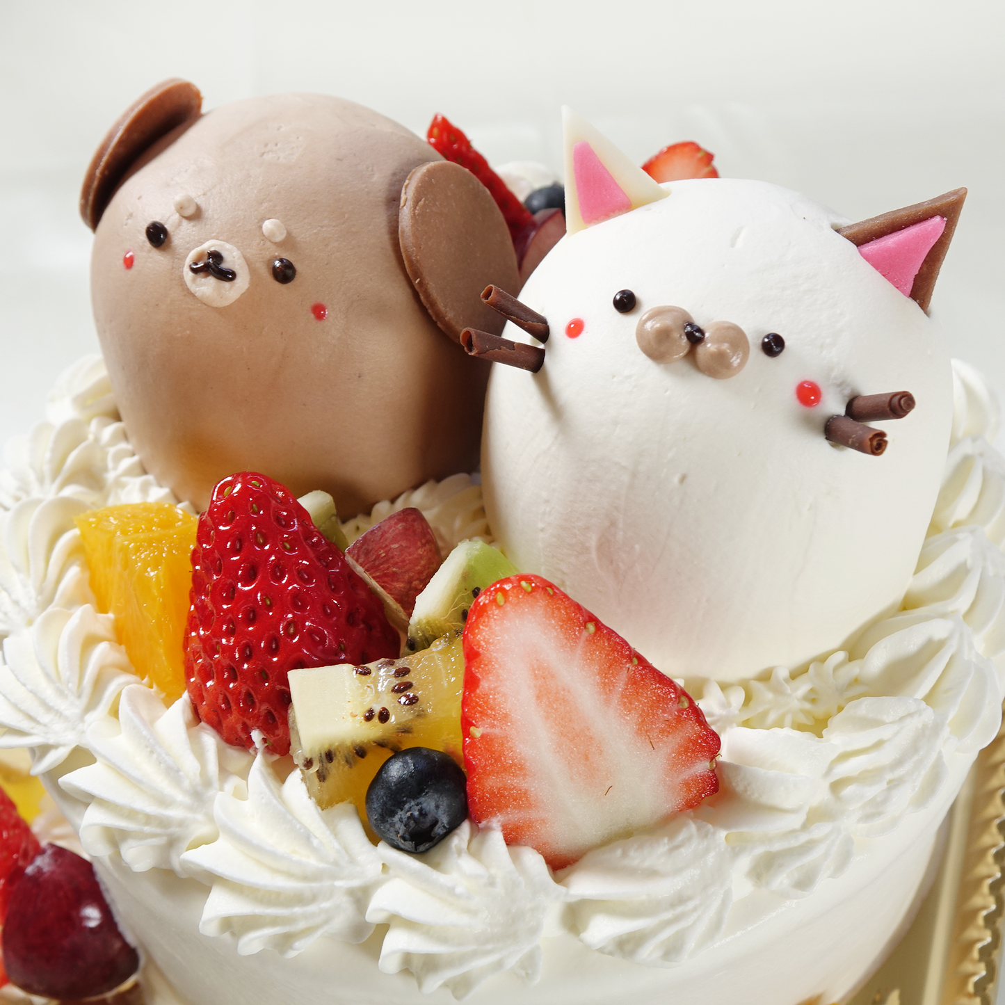 【なかよしどうぶつケーキ】わんにゃんケーキ