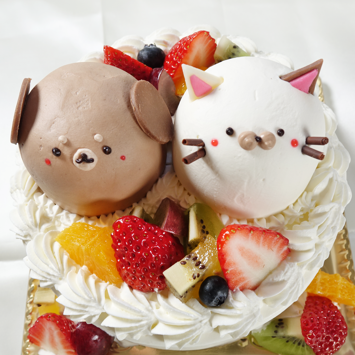 【なかよしどうぶつケーキ】わんにゃんケーキ